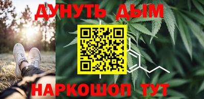mdpv Дубна