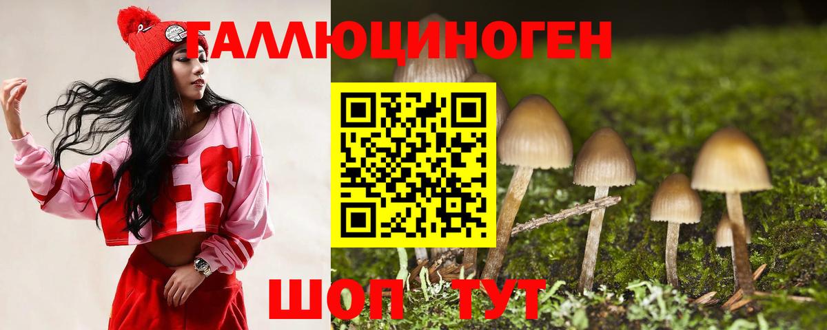 Людиново  Псилоцибиновые грибы Magic Shrooms  где найти   Вход с VPN 